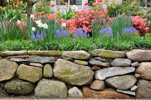 Stone Wall Hardscaping in Riverview