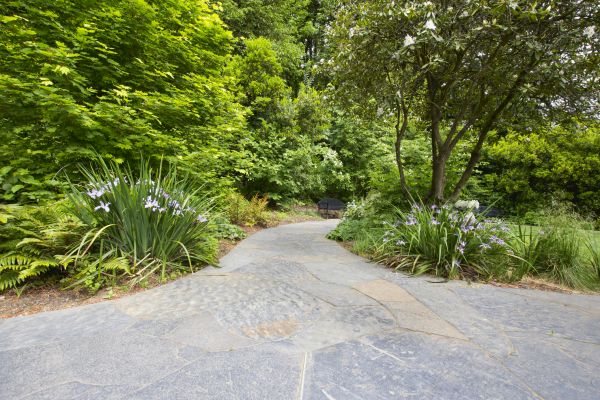 Stone Hardscape Service in Riverview